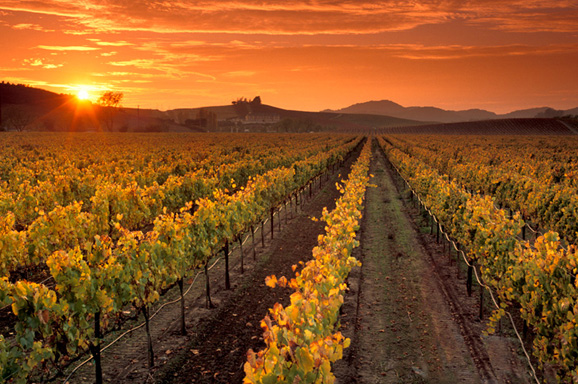 中瑭国际法兰西深度高端定制旅游