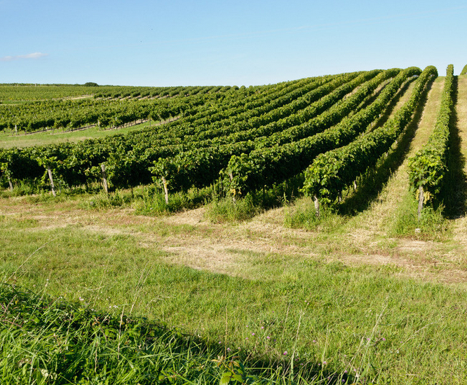 中瑭国际法兰西深度高端定制旅游