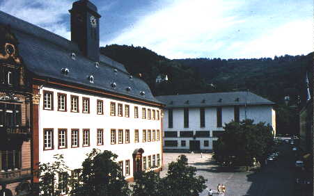 中瑭国际法国、德国医疗系统学习考察项目