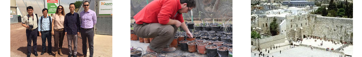 以色列科技及创投商务考察