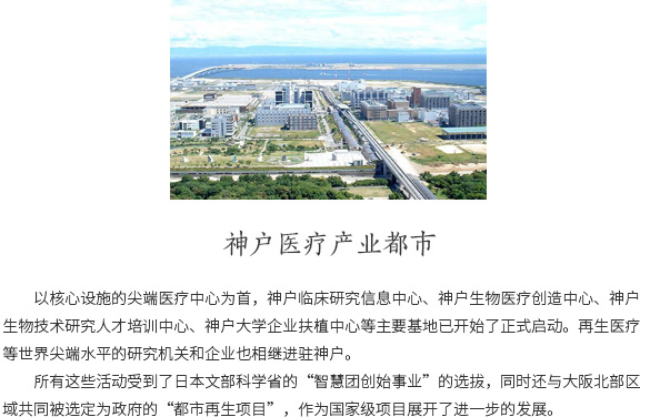 日本城市进程考察